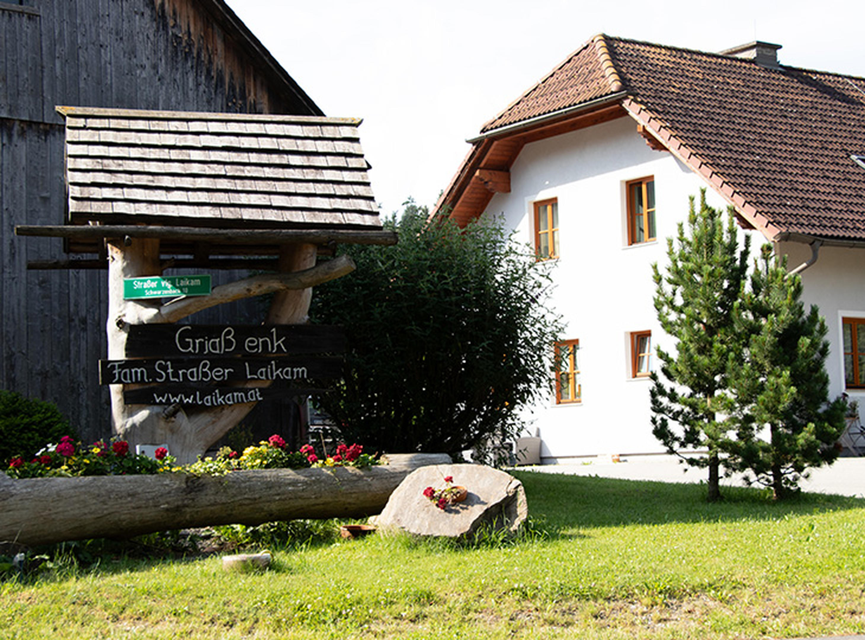 Bild von Laikam Hof Alpakas – Familie Strasser